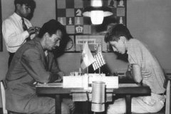 <b>则将逃查法令义务</b>